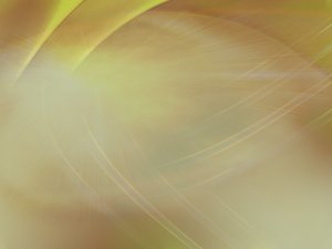 优秀查询改写团队的共同特质